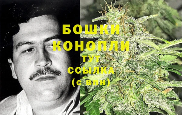 spice Краснослободск