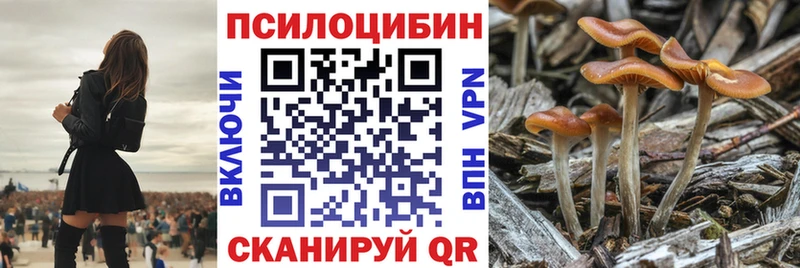 Галлюциногенные грибы прущие грибы Бердск