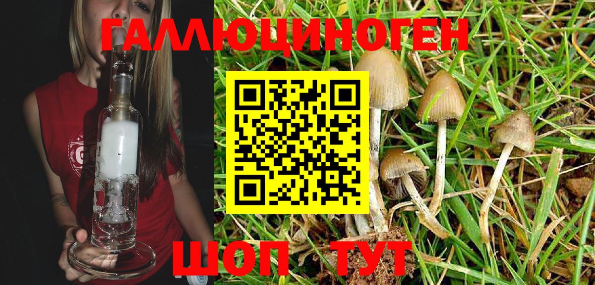 Галлюциногенные грибы Magic Shrooms  Вход с VPN  Бердск 