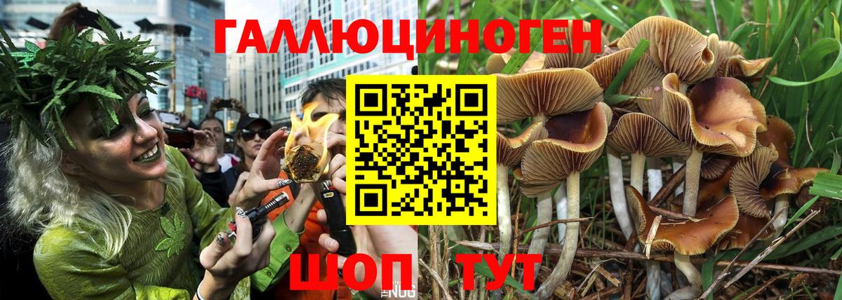 Псилоцибиновые грибы Magic Shrooms Бердск